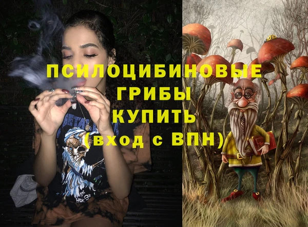 дмт Новокубанск