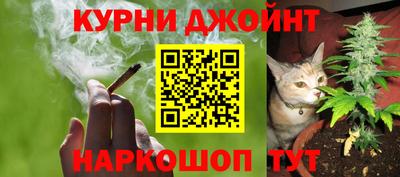 PSILOCYBIN Заводоуковск