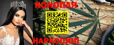 гидропоника Жуковский